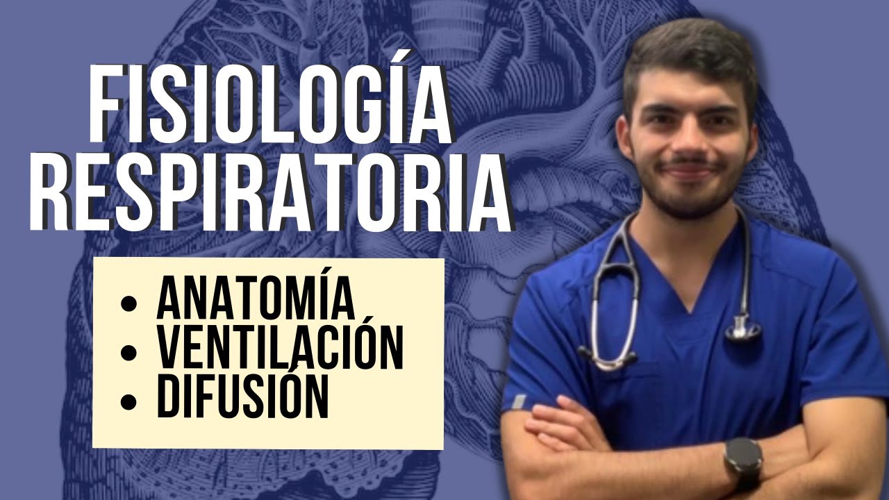 Fisiologia respiratoria 🫁 | Primera parte