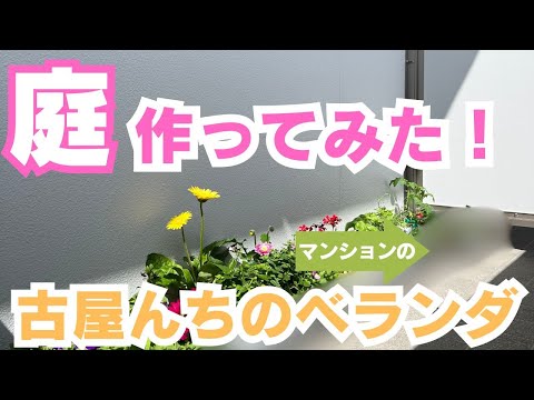 植物に活力を与えるために緊急に知っておくべき、庭でのエプソムソルトの6つの使い方!  庭園