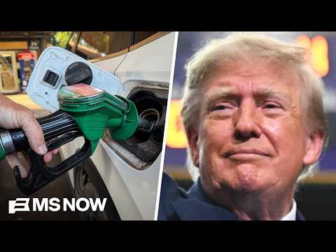 'PR coup': Economist says G7 releasing 100M barrels of oil is Trump 'pretending to do something'
