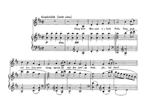 Mahler: Lieder eines fahrenden Gesellen: 2. Ging heut' Morgen über's Feld - Oliemans (Märkl, live)