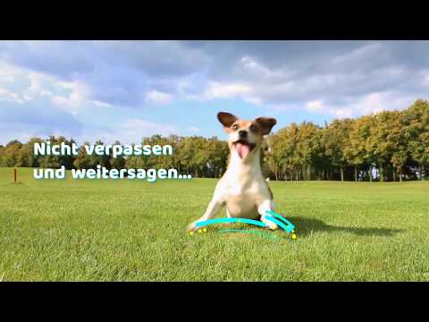 CUX IT schneller Service mit Angeboten