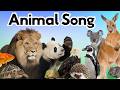 Animals Everywhere Animal Song For Kids Learn About Animals Preschool Toddlers