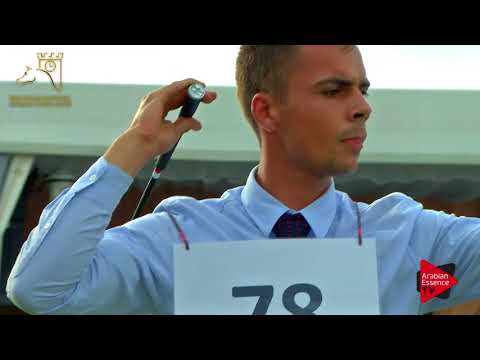 N.78 ZIGI ZANA - 2017 Pride Of Poland - 7/10 Years Old Mares (Class 8)