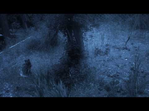 Black Weeds official trailer