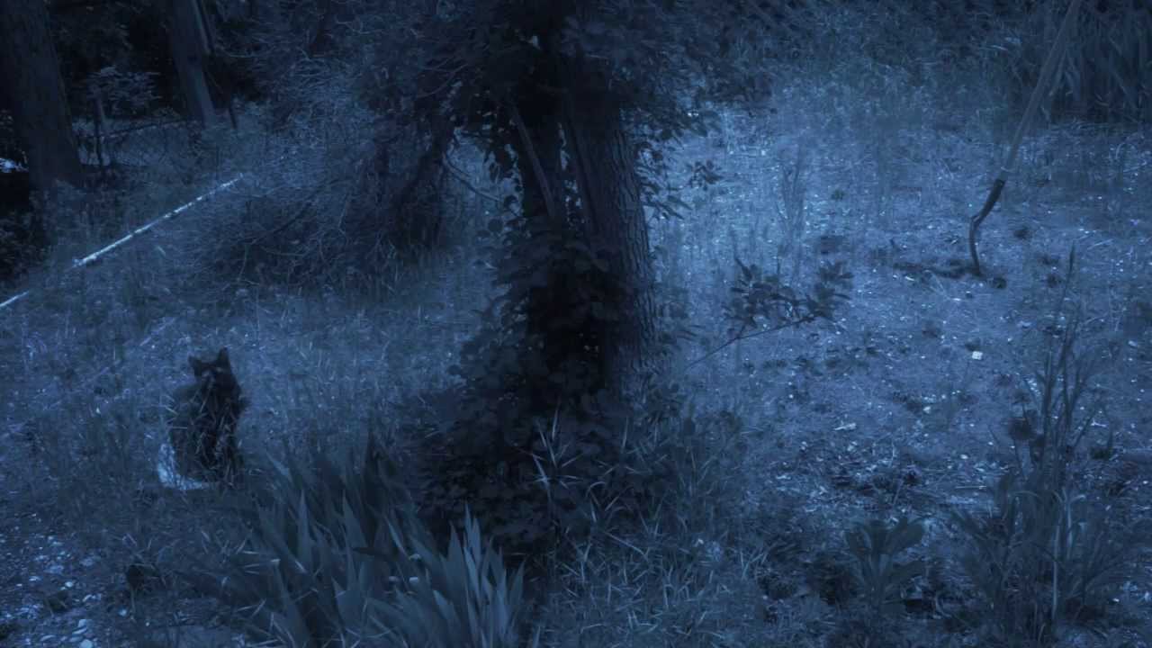 Black Weeds official trailer