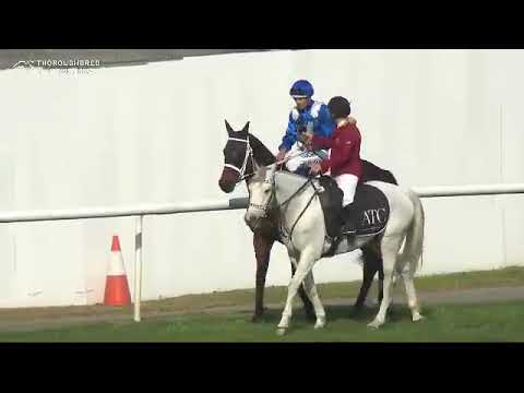 Hugh Bowman Post Race Comments After Winx Wins Her 20th Win