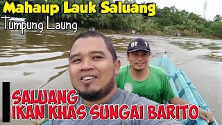 Download lagu Saluang || Salah Satu Ikan Khas Sungai Barito || Tumpung Laung mp3