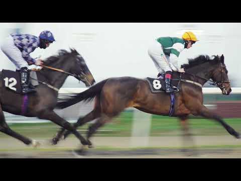 Francesca Explains EP4 - On or Off the Bridle