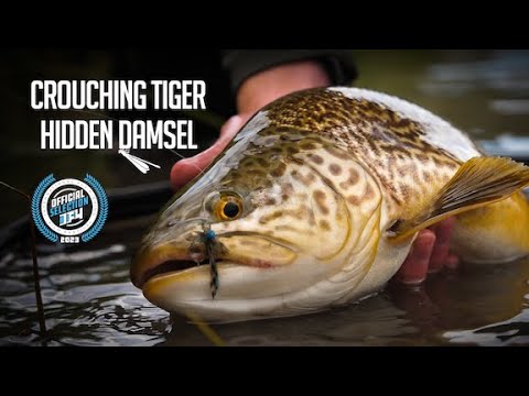 Crouching Tiger Hidden Damsel (Trailer) - Official Selection, IF4™ 2023