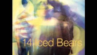 14 Iced Bears - Holland