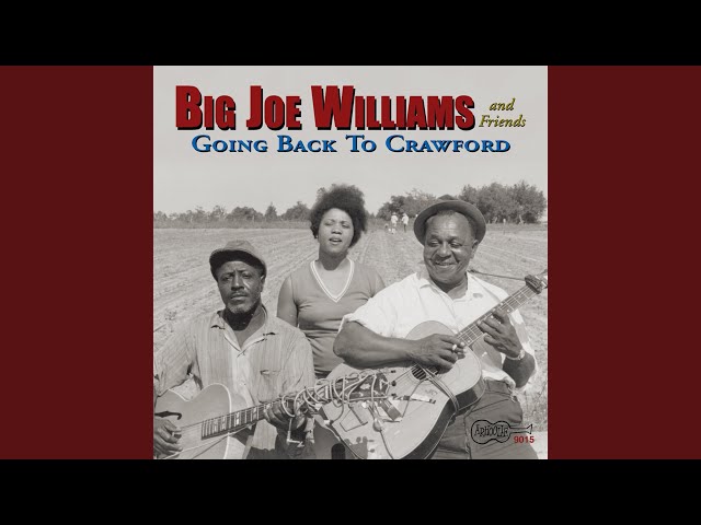Le migliori canzoni di Big Joe Williams, il maestro del Delta blues