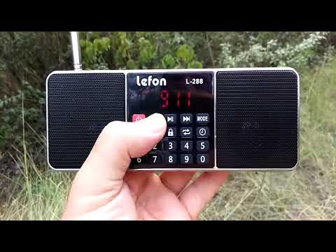 L~288 BT колонка с СВ, AM на природе .(1)