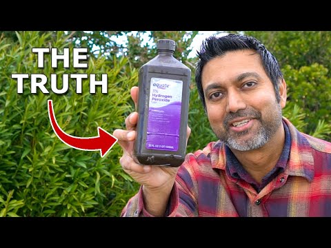 Truth About Using Hydrogen Peroxide in Gardening