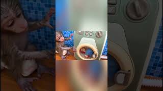 Download lagu MONKEY BiBi goes to do the laundry. (Part Two) mp3