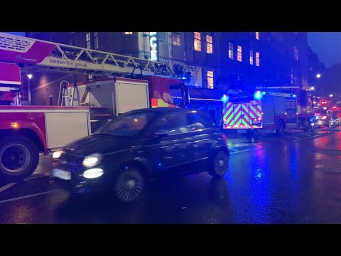 (A241, A242, A243) **BULLHORN, TWOTONE** Soho Full house turnout