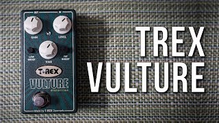 Video thumbnail for Budget Boutique? Is that a thing? T-Rex Vulture Distortion by EytschPi42