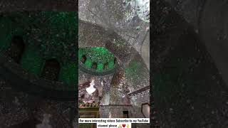 Download lagu A Beautiful Historical Mosque in Iran Tehran #youtubeshorts #viralvideo #foryou #travel #iran #fyp mp3