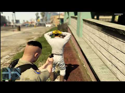 LSPDFR Day 7: Highway Callouts