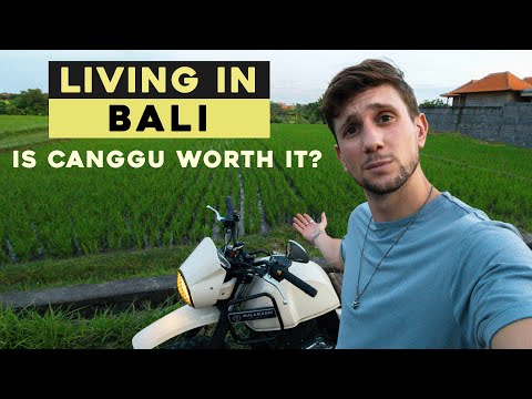 What's living in Bali REALLY like?? (Canggu 2022)