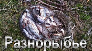 Отдых с рыбалку в украина 2020 николаев