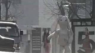 Bài hát Day By Day - Nghệ sĩ trình bày As One