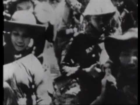 Wings Over Vietnam   The Cavalry