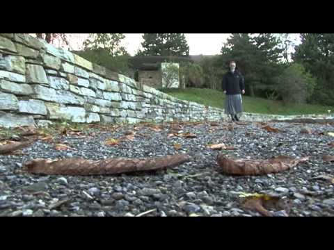 Pastorale Berufe im Portrait - Schwester Marie-Catherine