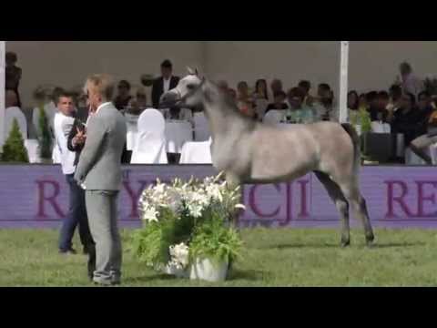 AKEAHF 2015 Junior Female Championship