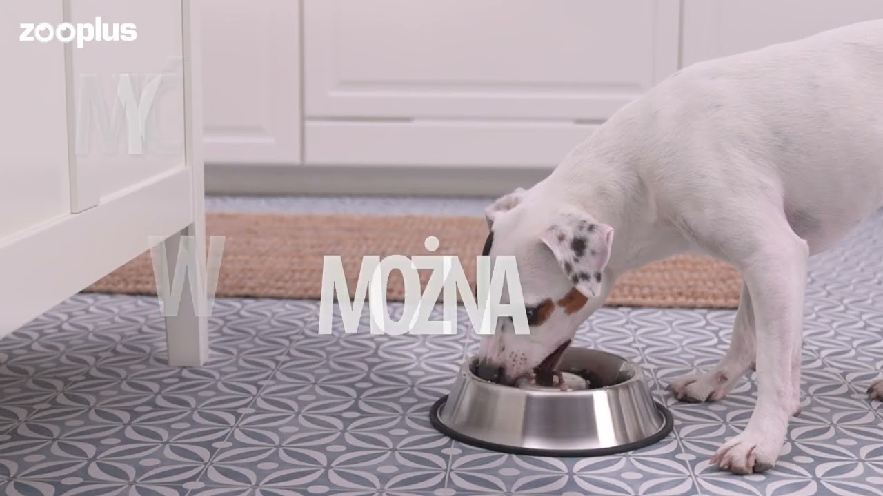 Spowalniająca jedzenie miska ze stali nierdzewnej | zooplus.pl