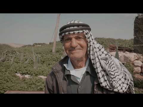 עאהל, הקול שמנסים להסתיר ממך