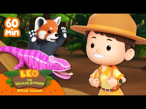 Witness21  2023 06 11