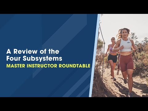 Human Movement:  A Review of the Four Subsystems