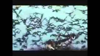 AFTER THE GARDEN - NEIL YOUNG