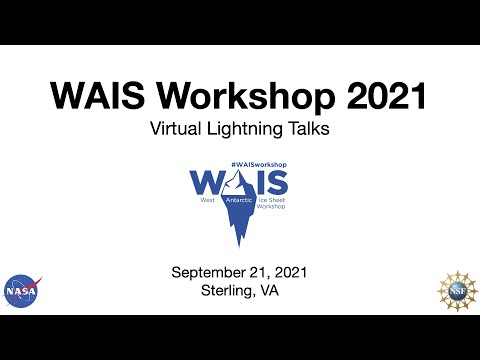 WAIS Workshop 2021: Virtual Lightning Talks