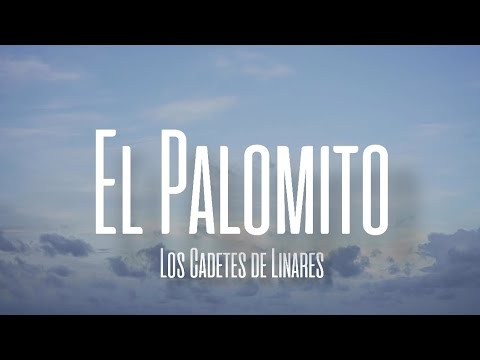 El Palomito - Los Cadetes de Linares (LETRA/ENGLISH TRANSLATION)