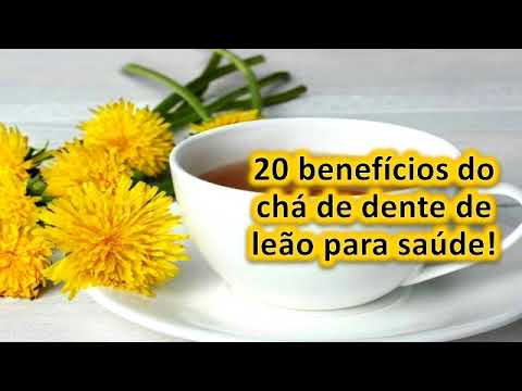 20 benefícios do chá de dente de leão para saúde!