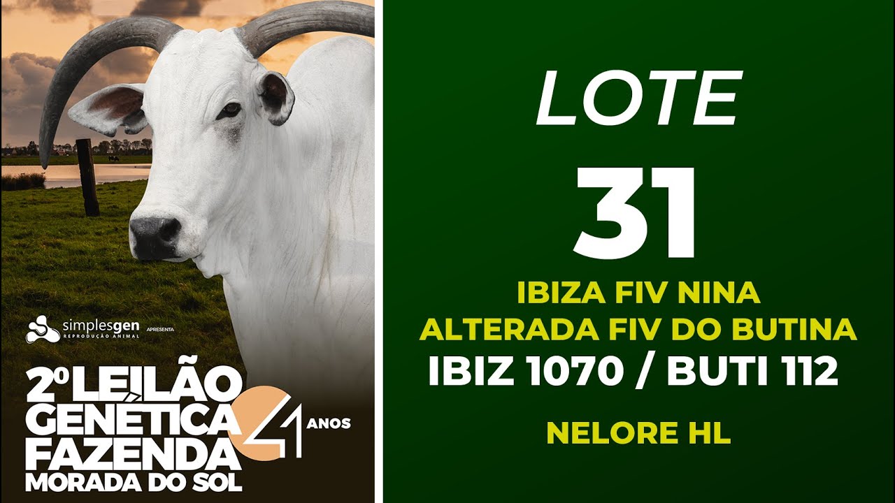 LOTE 31 – 2º Leilão Genética Fazenda Morada do Sol & Convidados