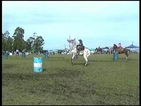 COSTAS DE ARIAS 2018 f