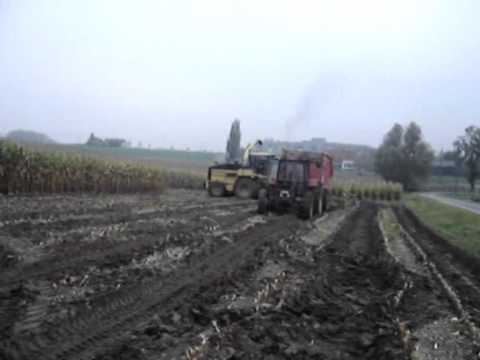 Loonw. Vandenbulcke - Bellegem