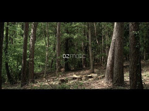 OZMOTIC - Elusive Balance