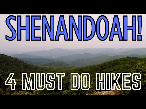 4 Essential Hikes in Shenandoah National Park!