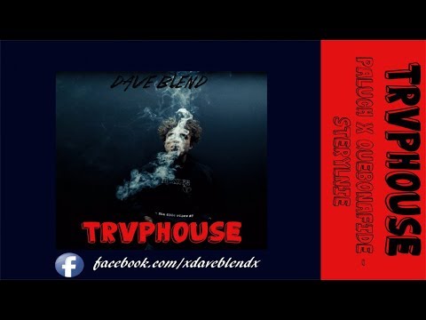 Paluch x Quebonafide - Sterylnie (Dave Blend) prod. Luxray | TRVPHOUSE