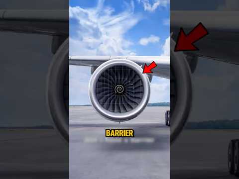 What If Jet Engines Had Protective Grates in Front of Them? 🤔