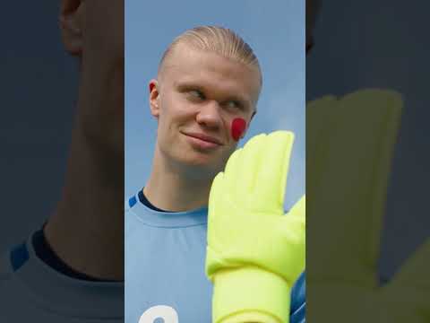 #football #haaland #parody #dog