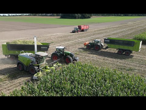 CLAAS JAGUAR 950 bei der Maisernte & viele FENDT´s als Abfahrer / 4K