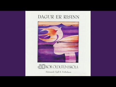 Ljósið kemur langt og mjótt