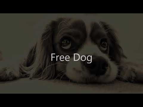 Free Dog　Silent Partner