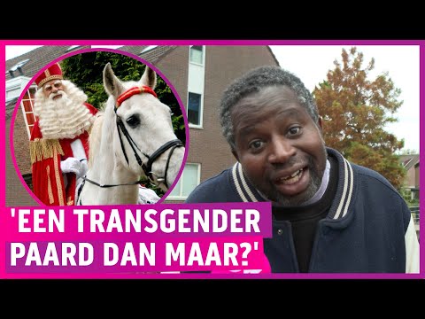 Sinterklaas' horse now under heavy fire: 'White horse, racism?'