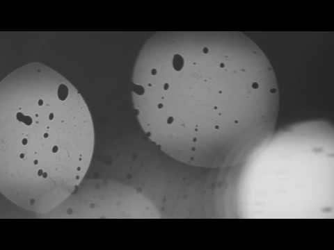 Iroas - Nassä Asphaut feat. Roumee & Little Miss Sunshine (prod. C. Perkins)