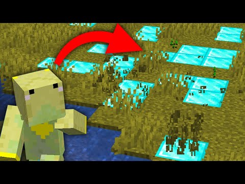 Minecraft, But Dirt Turns Into Diamond Blocks...